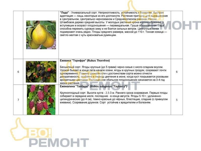 Проект благоустройства территории-102